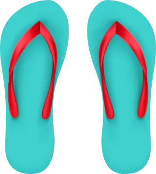 a pair of flip flops on a white background