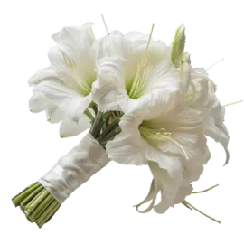 a bouquet of white flowers with green stems