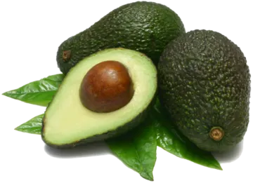 avocas with leaves on a white background