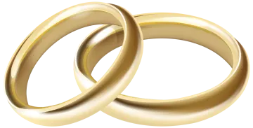 a pair of gold wedding rings