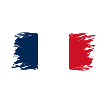the french flag