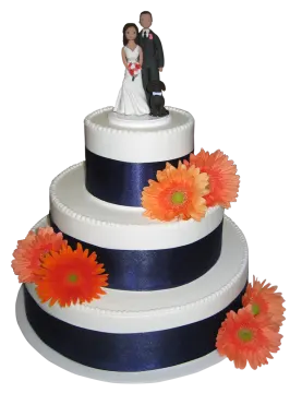 a wedding cake with a bride and groom on top