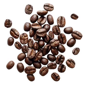 coffee beans on a white background