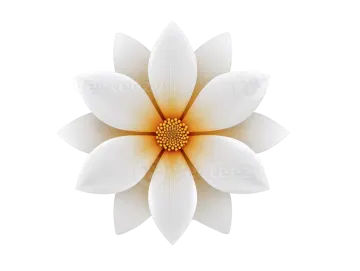a white flower with yellow center
