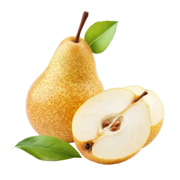 two pears with leaves on a white background