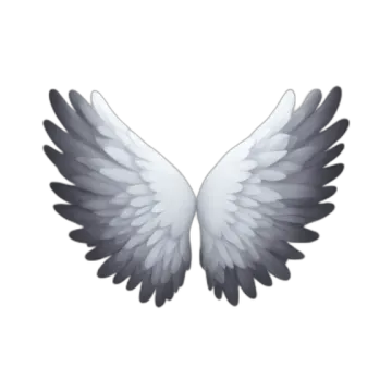 an image of a white angel wings