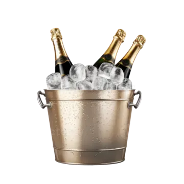 champagne in an ice bucket