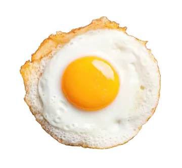 a fried egg on top of toasted bread