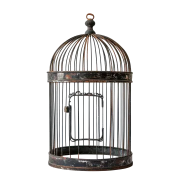 an old bird cage on a white background