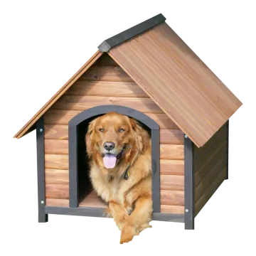 a dog in a wooden dog house
