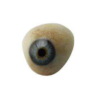a close up of an eye on a white background