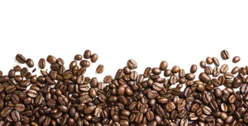 coffee beans on a white background