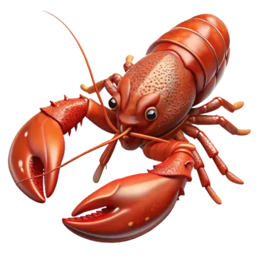 an illustration of a lobster
