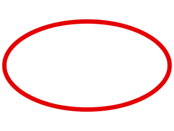 a red circle on a white background