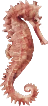 a watercolor painting of a seahorse