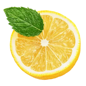 a slice of lemon with a green leaf