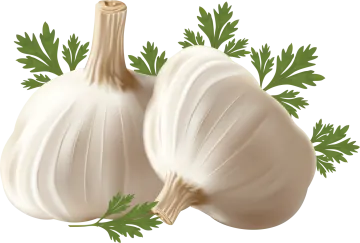 two white onions with green leaves on top