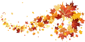 an image of a bunch of autumn leaves