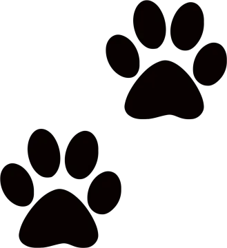 a black and white image of two paws