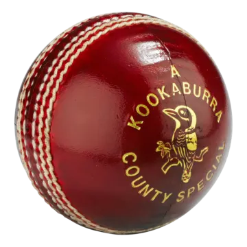 a red cricket ball with a gold logo on it