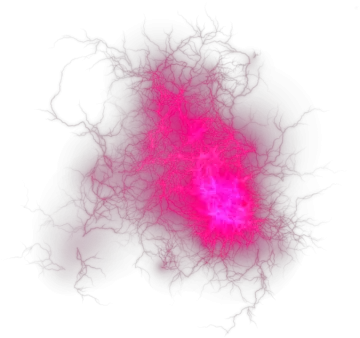 an image of neurons in the brain