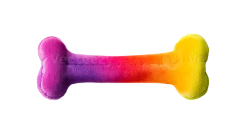 a rainbow colored dog bone on a white background
