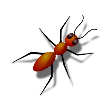 a mosquito insect on a white background