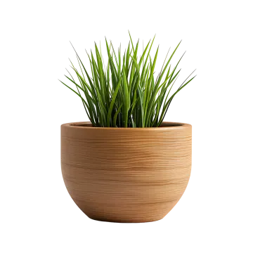 a plant in a wooden pot