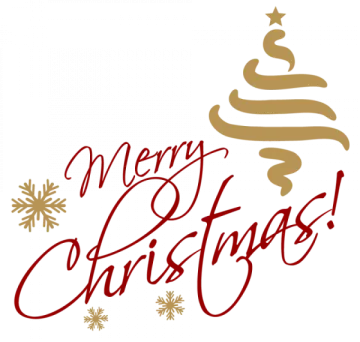 a christmas tree with the words merry christmas on it
