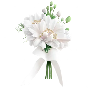 a bouquet of white flowers on a white background
