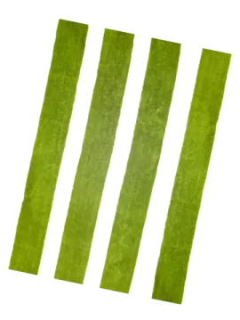 three green stripes on a white background