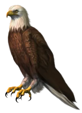 an eagle sitting on top of a tree branch
