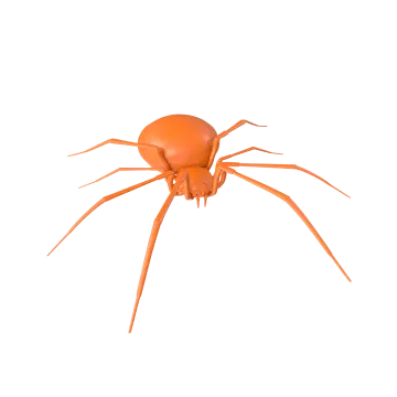 a brown spider on a white background