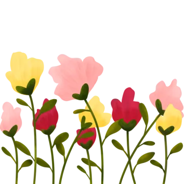 a bunch of flowers on a white background