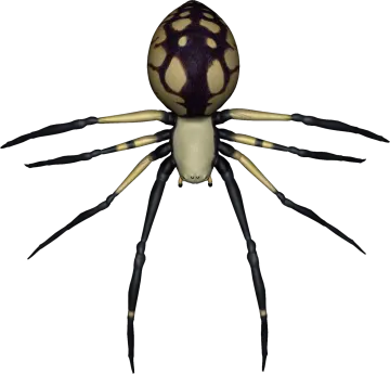 a yellow spider on a white background