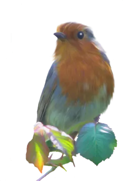 a bird sitting on top of a leaf