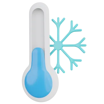 a thermometer with a snowflorer on it