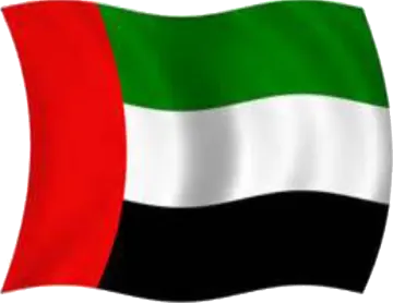 the flag of the united