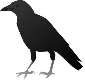 a black crow silhouetted on a white background