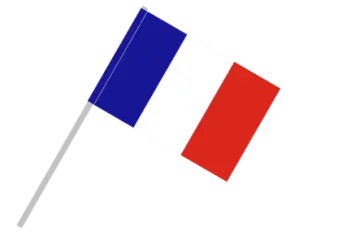 the french flag