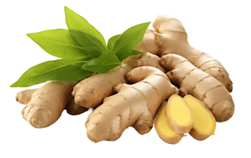 a pile of ginger root with a green leaf