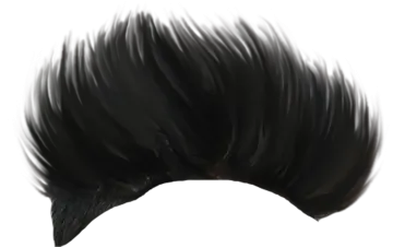 a black and white drawing of a man's hair