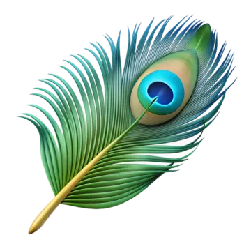 a peacock feather on a white background