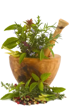 a wooden mortar with herbs and spices