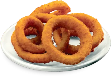 a plate of onion rings