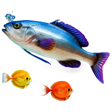 a group of different colored fish on a white background