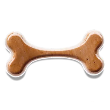 a dog bone bone on a white background