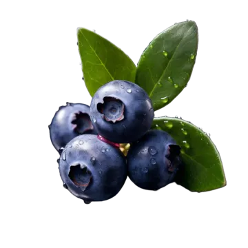 a bunch of blueberries with water droplets