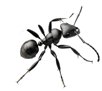 a 3d rendering of a black widow spider