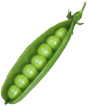 green peas on a white background